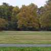 View From Bench